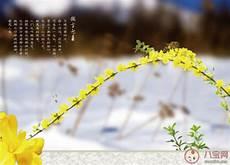 春天来了小花怎么样